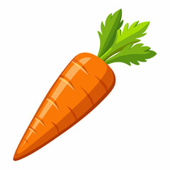 clip art realistic carrots vector illustration