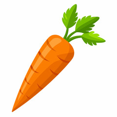 clip art realistic carrots vector illustration