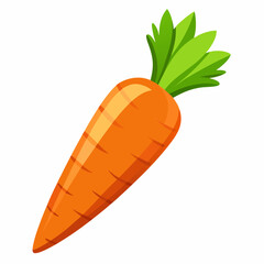 clip art realistic carrots vector illustration