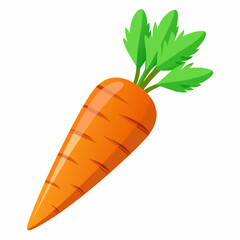 clip art realistic carrots vector illustration