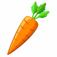 clip art realistic carrots vector illustration