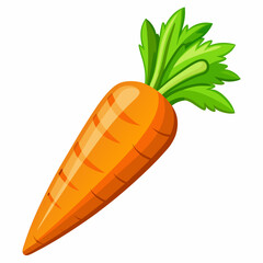 clip art realistic carrots vector illustration