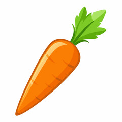 clip art realistic carrots vector illustration