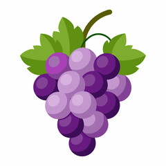 Grape Vector  illustration on white background
