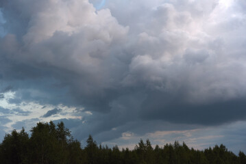 Cumulus rain clouds in the evening sky. Thunderclouds over the forest.