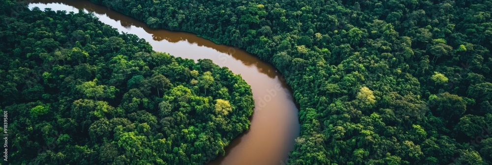 Poster A tranquil aerial view of a winding river meandering through a dense, verdant rainforest, symbolizing nature's beauty, serenity, interconnectedness, and the vital role of water in ecosystems.