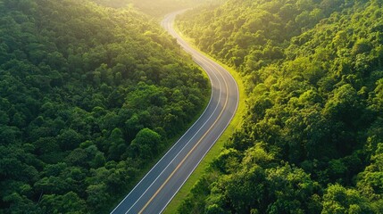 Fototapeta premium A scenic view of a winding road through lush green forests, perfect for capturing nature's beauty and tranquility.