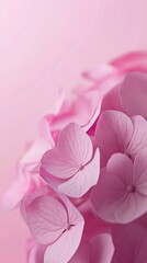 A bunch of pink flowers on a pink background