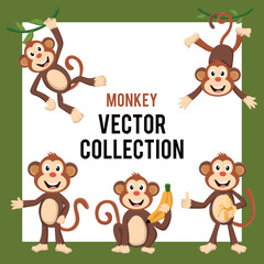 Fototapeta premium monkey character vector collection set.eps