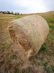 Roll of hay on a farm with distant red barn