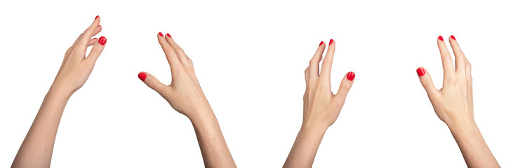 both two hands catching, holding and touching, pov, isolated on white background, transparent png