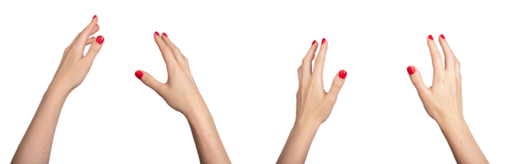 both two hands catching, holding and touching, pov, isolated on white background, transparent png