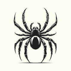 Black Color Spider Silhouette Vector Illustration