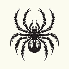 Black Color Spider Silhouette Vector Illustration