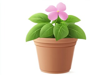 Fototapeta premium A potted plant with a single pink flower.