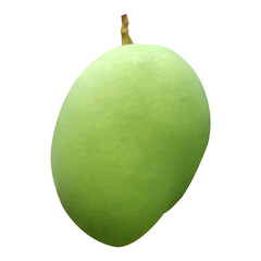 Green Mangifera indica Fruit