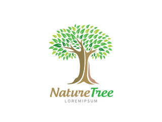 Obraz premium Nature tree logo symbol or icon template