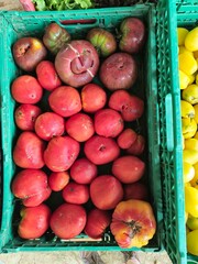 Tomates 2