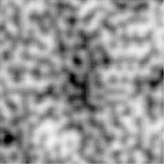 rectangular array of squares with perlin noise