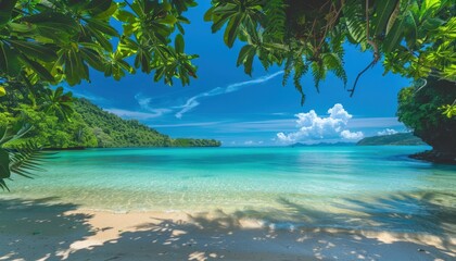 A tranquil beach view framed by lush greenery on a sunny day in a tropical paradise