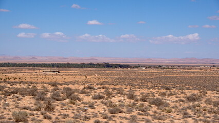Oasis in the distance, on the road to Douz, Tunisia