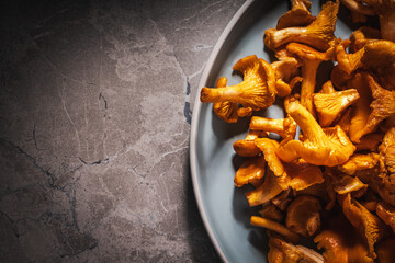 Raw mushrooms Chanterelles on a blue plateon a gray background, close-up. Copyspace © Andy Shell