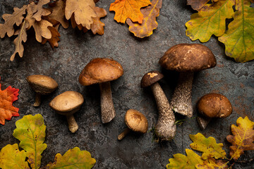 Boletus mushrooms with leaves