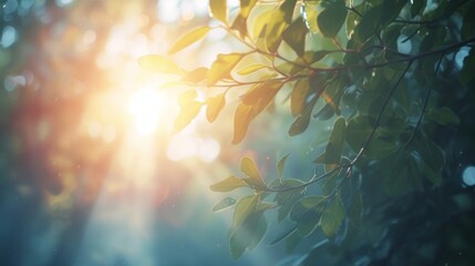 Natural or staged lens flare effect