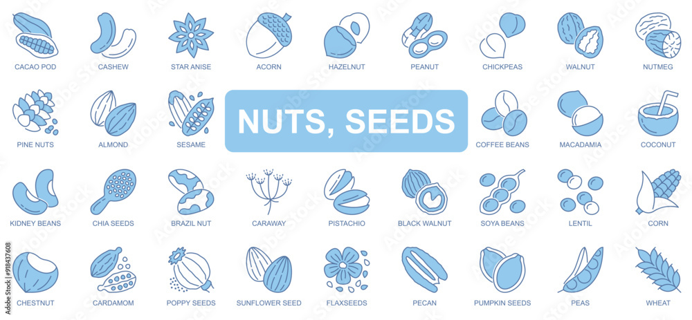 Poster nuts and seeds icons set in duotone outline stroke design for web. pack pictograms of cacao, cashew,