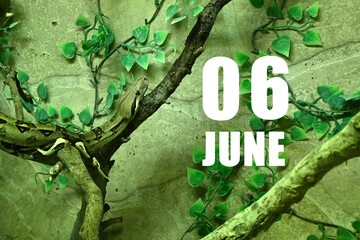 Calendar date on light green background with snake crawling on tree branch.  June 6 is the sixth day of the month