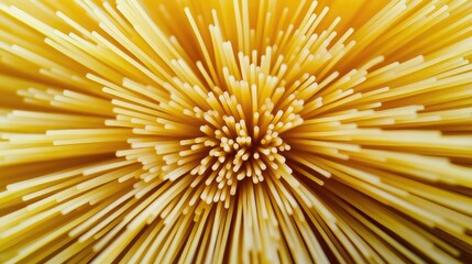 Italian spaghetti bunched together like a flower, with strands spreading out in a circular pattern, viewed from the top.