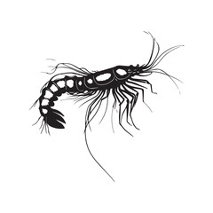 shrimp vector illustration