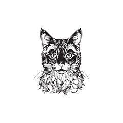 cat vector on white background