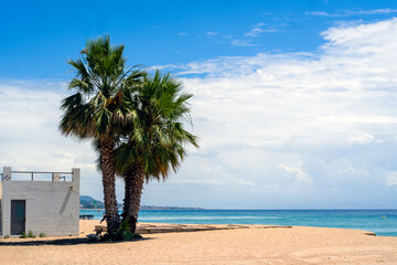 A tranquil and picturesque view of a sandy beach with palm trees under a clear blue sky in Badalona, Spain.