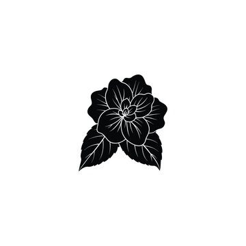 black flower blossom leaves white background clip art preview