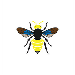 Bee vector on white background