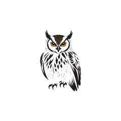 owl illustration