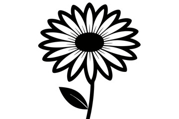 Daisy black and white flower silhouette on white background, Vector illustration, bird, icon, svg, characters, Holiday t shirt, Hand drawn trendy Vector illustration, Rose flower