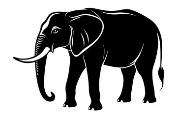 elephant black  silhouette illustration