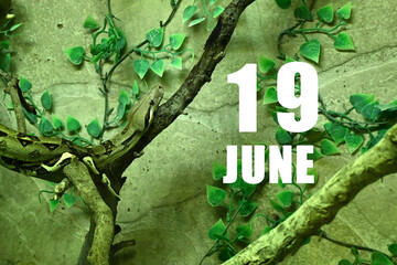 Calendar date on light green background with snake crawling on tree branch. June 19 is the...