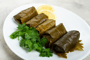 dolma, minced meat with rice, in grape leaves, rolls with minced meat, on a white plate, top view, no people, dolma, grape leaves with filling,