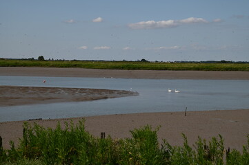 De Saujon à l'Eguille sur Seudre