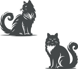 black and white cats