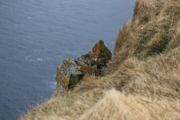 Landschaftsbild auf Island nah an der Küsten Ringstrasse auf Island