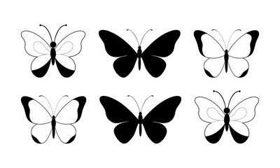 Fototapeta premium Butterfly silhouette isolated on white background