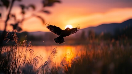 A bird in flight above a tranquil water body, as the sun sets and casts long shadows on the grass in the foreground