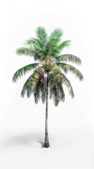 Obraz premium Detailed depiction of a palm tree on a white background