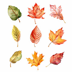 Obraz premium 秋、落ち葉、紅葉の水彩イラスト Generative AI