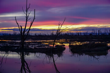 Tranquil, calm, mystical, subdued, and serene scene of a wetland estuary along a river delta at the Skagit Wildlife Area, Skagit County, Mount Vernon, Washington State, USA