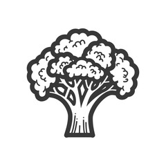Hand drawn Black and White Illustration of a Broccoli Floret